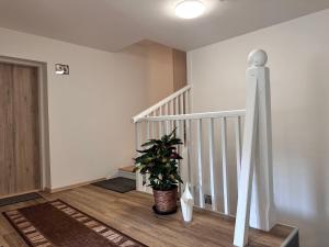 Fotografia z galérie ubytovania Apartmány Hanička v destinácii Hejnice