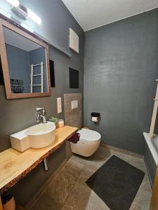 a bathroom with a sink and a toilet and a mirror at Ferienwohnung mit Weinbergblick in Radebeul