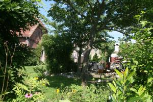 Taman di luar Landhaus Gersdorf nahe Ostseebad Kühlungsborn