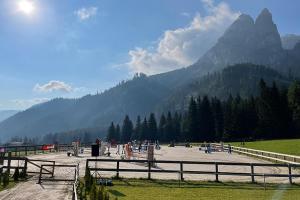 grupa ludzi w parku z górami w tle w obiekcie Residence Schneiderhof w mieście San Candido