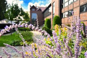 a garden with purple flowers in front of a building at Stara Szkoła Boutique Hotel in Wronki