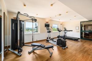 Fitness centrum a/nebo fitness zařízení v ubytování Trans World Hotel Donauwelle