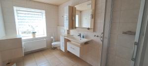 a bathroom with a sink and a toilet and a window at Am Forellenteich in Amtsberg +8 photos