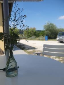 Fotografie z fotogalerie ubytování Loft immerso nel bosco v destinaci Rivola