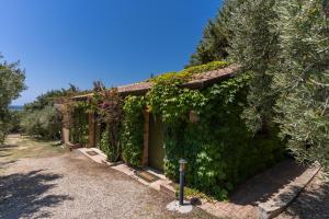 Zahrada ubytování Casale Giancesare Villa Agricola