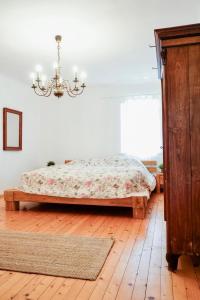 Un dormitorio con una cama y una lámpara de araña. en Ferienwohnung am Land mit Whirlpool, en Eggersdorf bei Graz 7 fotos más
