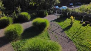 A garden outside Ezo