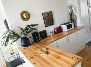 CarcassoneAppartement T2 avec vue château的厨房配有木台面,上面有植物 更多19张照片