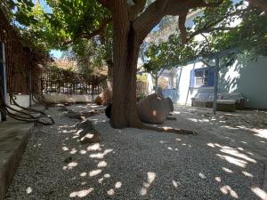 Fotografie z fotogalerie ubytování Blue Seaside House with Garden v destinaci Skala Eresou