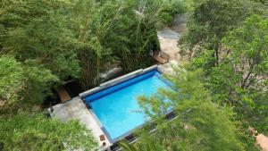 Bazén v ubytování TANTOR RESORT Hotel and spa Habarana nebo v jeho okolí