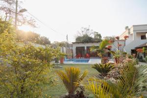 a garden in front of a house with plants at Sunpalm Guesthouse in Nelspruit