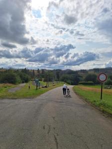 a person pushing a child on a scooter on a road at Apartment am Rodelberg in Braunlage
