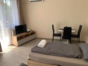 Televízia a/alebo spoločenská miestnosť v ubytovaní Silver Shine Apartman
