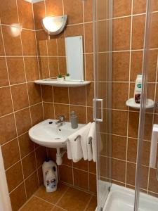 Kúpeľňa v ubytovaní Silver Shine Apartman
