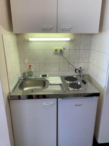 Kuchyňa alebo kuchynka v ubytovaní Silver Shine Apartman + 37 fotografií