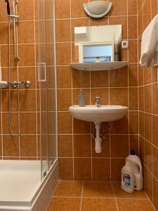 Kúpeľňa v ubytovaní Silver Shine Apartman