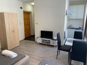 Televízia a/alebo spoločenská miestnosť v ubytovaní Silver Shine Apartman