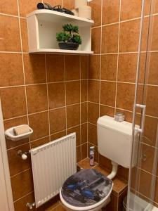 Kúpeľňa v ubytovaní Silver Shine Apartman