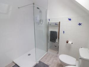 a white bathroom with a shower and a toilet at 2 Cheriton Cottages in Pembroke +28 photos