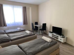 Televízia a/alebo spoločenská miestnosť v ubytovaní Silver Shine Apartman