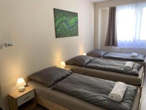Posteľ alebo postele v izbe v ubytovaní Silver Shine Apartman