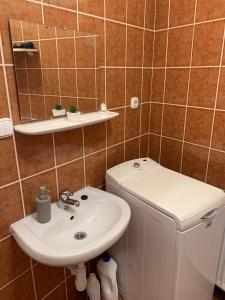Kúpeľňa v ubytovaní Silver Shine Apartman
