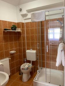 Kúpeľňa v ubytovaní Silver Shine Apartman
