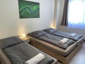 Posteľ alebo postele v izbe v ubytovaní Silver Shine Apartman