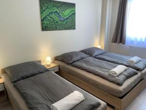Posteľ alebo postele v izbe v ubytovaní Silver Shine Apartman