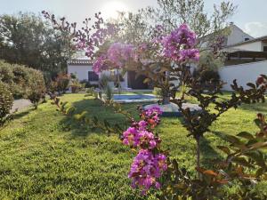 a garden with purple flowers in a yard at Maison en campagne in Avignon