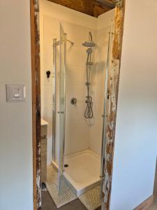 a shower with a glass door in a bathroom at Adas in Aviʼel