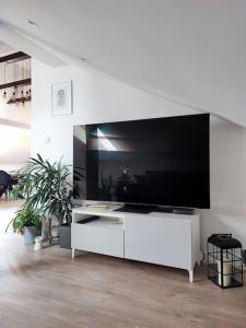 Televisyen dan/atau pusat hiburan di Stylowy Apartament z ogrodem