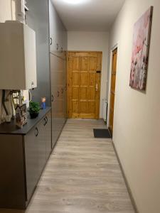 Kuchyňa alebo kuchynka v ubytovaní Silver Shine Apartman