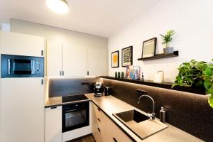 Kuchyň nebo kuchyňský kout v ubytování Gold Garden Terrace Apartment