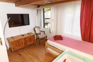 TV in/ali zabaviščno središče v nastanitvi Charming Alpine Retreat By Apartments Capricorn