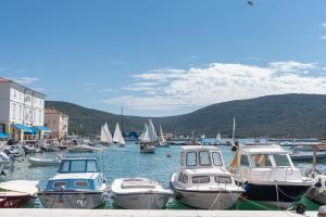 a group of boats are docked in a harbor at Stara Gavza 155 in Cres +16 photos