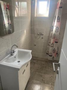 a bathroom with a sink and a shower curtain at Dušanov konak in Vrbas