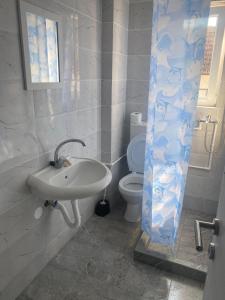 a bathroom with a sink and a toilet at Dušanov konak in Vrbas