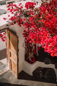 Giardino di Spitia Santorini Villa Collection