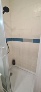 een badkamer met een douche met blauwe en witte tegels bij Studio Paris 11 Bien situé et fonctionnel in Parijs