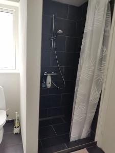 a bathroom with a shower with a shower curtain at Cozy house with 2 bedrooms on the sea coast in Assens +22 photos