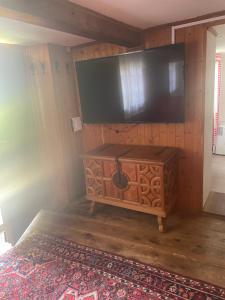 a flat screen tv on a wooden wall with a rug at Studio by Apartments Capricorn in Gsteigwiler