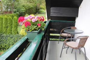 Zahrada ubytování Apartma Saša