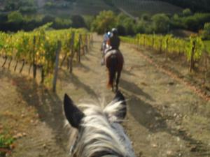 Hosté ubytování Il Cielo Bio - Il più piccolo B&B del Chianti