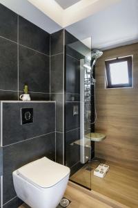 a bathroom with a toilet and a shower at New Villa Luna with Private Pool, Ping Pong and BBQ 1km from the beach in Sfakaki