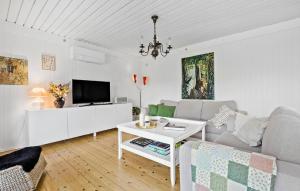 VejbyにあるLovely Home In Vejby With Kitchenのソファとテレビのあるリビングルーム