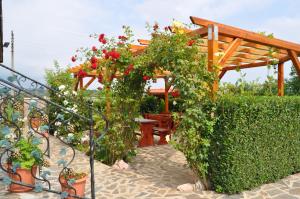 Zahrada ubytování Hotel Bon Relax