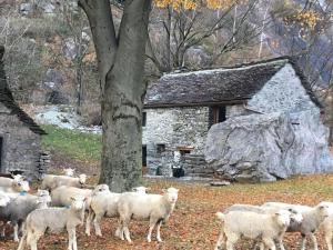 Pokrajina v okolici of country house