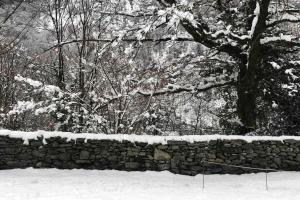 Rustico Gin Avegno Torbecc, Vallemaggia, Tessin, pozimi