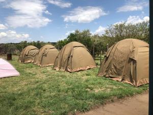 Fotografie z fotogalerie ubytování Ereto Mara Paradise Camp v destinaci Naboisho + 17 fotografií
